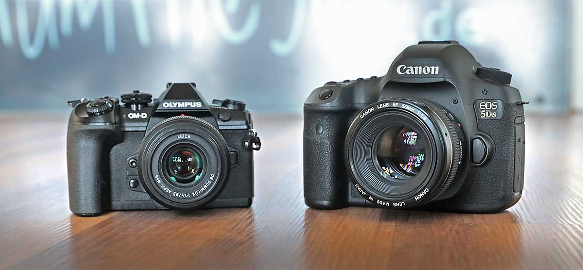 Olympus OMD EM 1 Mark 2 vs Canon EOS 5Ds - high resolution