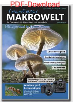 Traumflieger MAKROWELT - Ausgabe Nr. 2 - PDF-Download