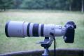 Canon 200-400mm/4L IS USM im Test