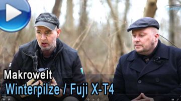 Winterpilze - Fujifilm X-T4 - neue Diffusoren