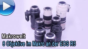 8 Objektive an einer EOS R5 - Die Makroreferenz mit Nahlinse und