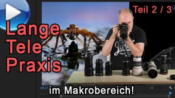 Lange Tele im Makrobereich: die Praxis! (Teil 2/3)