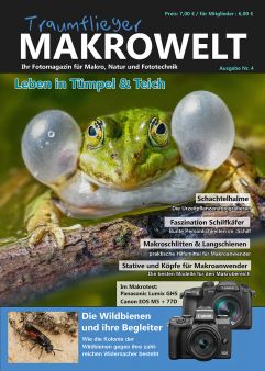 Traumflieger MAKROWELT - Ausgabe Nr. 4 - fr Mitglieder