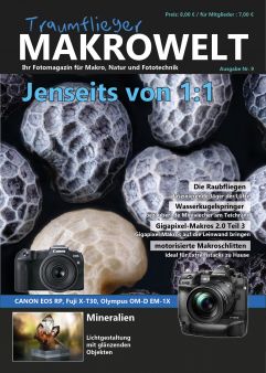 Traumflieger MAKROWELT - Ausgabe Nr. 9