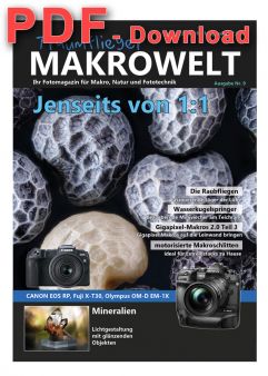 Traumflieger MAKROWELT - edition Nr. 9 - PDF download