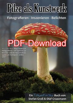 Buch Pilze als Kunstwerk PDF - Der Download