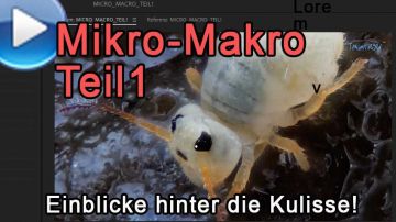 Mikro-Makro, Teil 1: Extreme Einblicke!