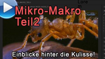 Mikro-Makro, Teil 2: extreme Einblicke