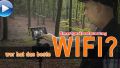 Wer hat die beste Wifi-Steuerung (11 Kameras im Vergleich)