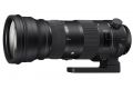 Sigma 150 - 600mm / 5 - 6,3 DG OS HSM Sports im Test