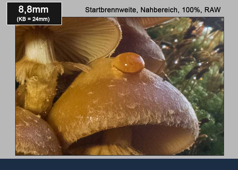 Nahbereich als HDR (100%)
