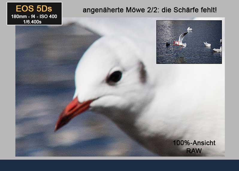 EOS 5Ds-AF-Demo: