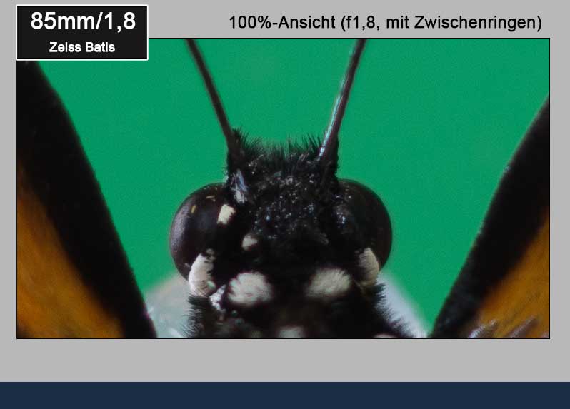 100%-Ausschnitt!